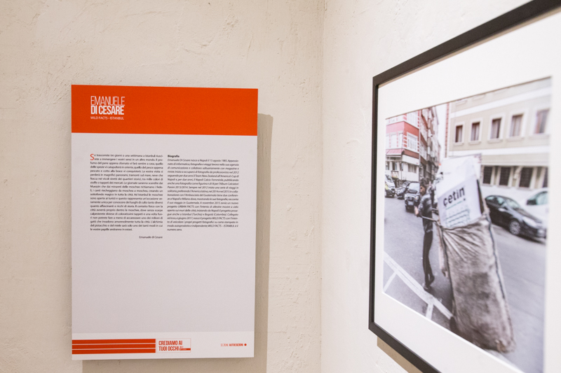emanuele di cesare wild facts istanbul