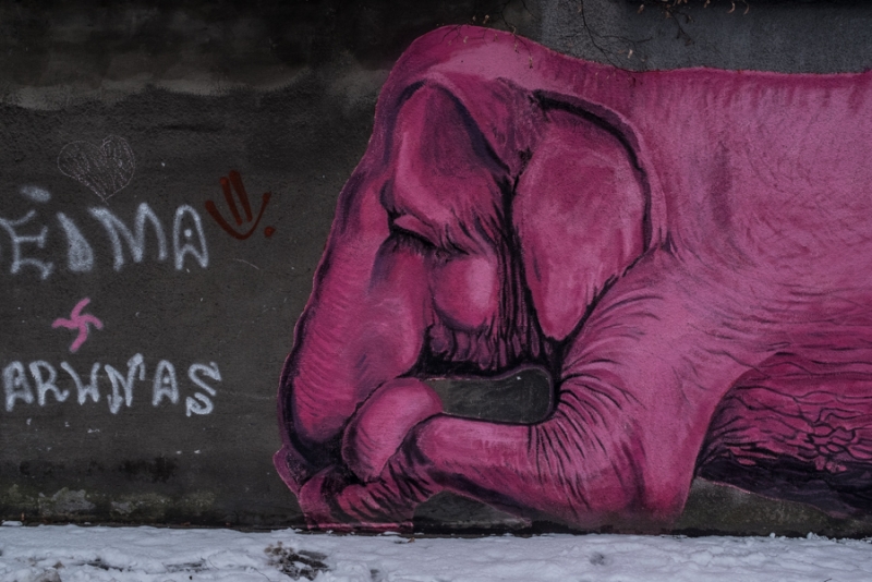 Kaunas - 