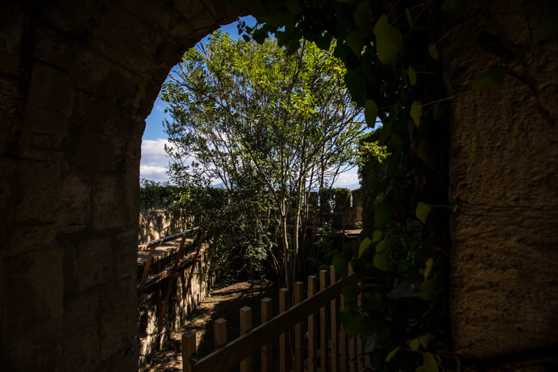 Le Jardin, il giardino segreto - 