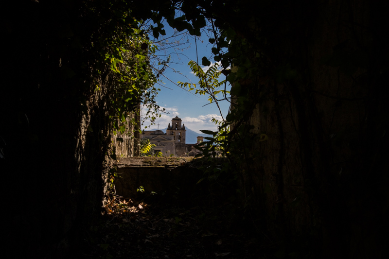 Le Jardin, il giardino segreto - 