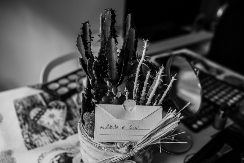 Adele e Luigi Wedding Reportage 2016 - 