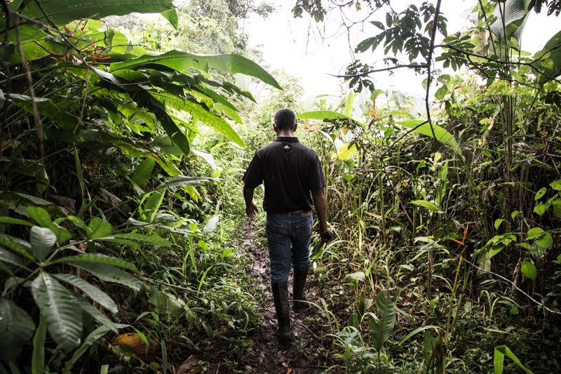 Giungla, Nicaragua