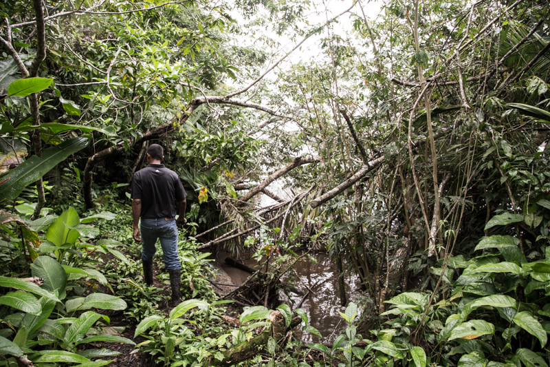 Giungla, Nicaragua - 