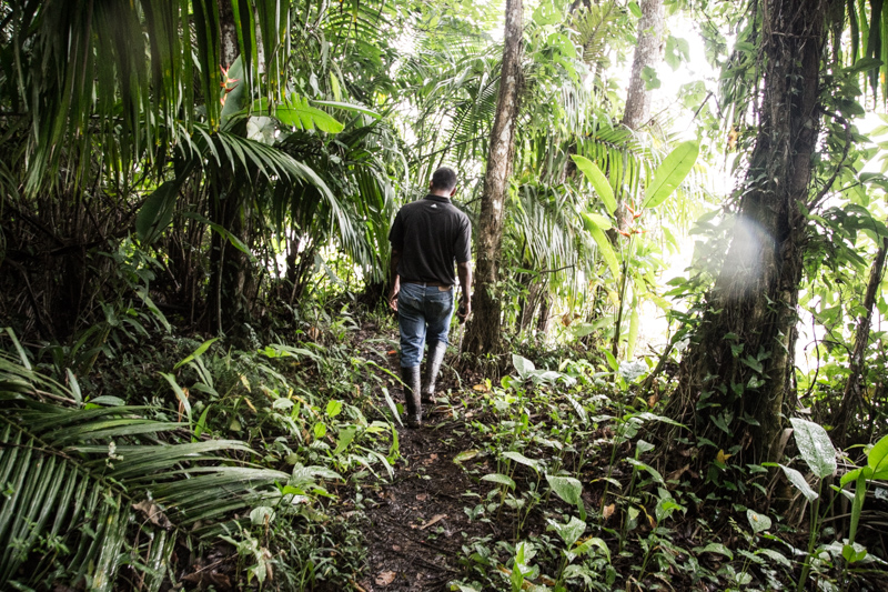 Giungla, Nicaragua - 