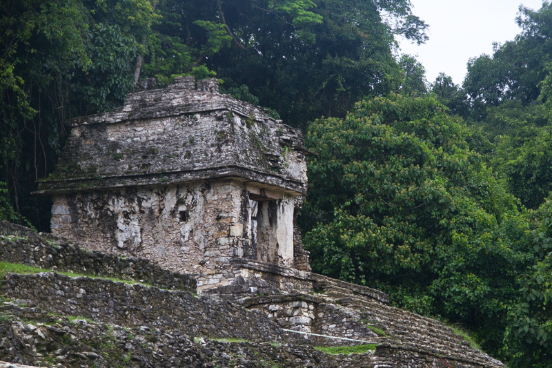 Palenque Messico - 