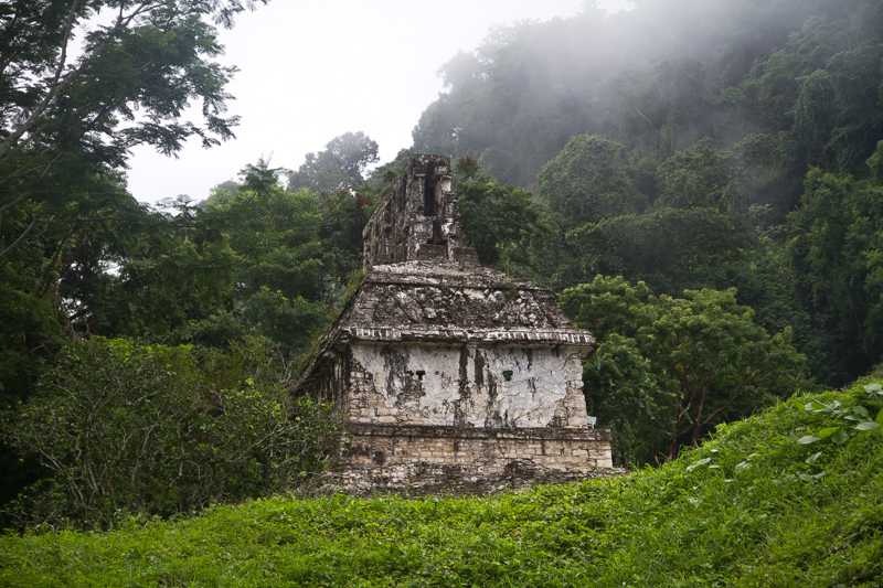 Palenque Messico - 