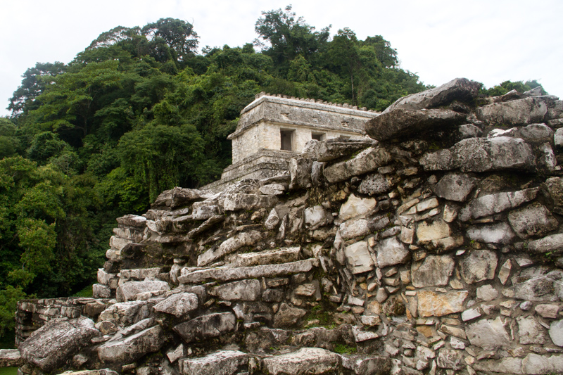 Palenque Messico - 