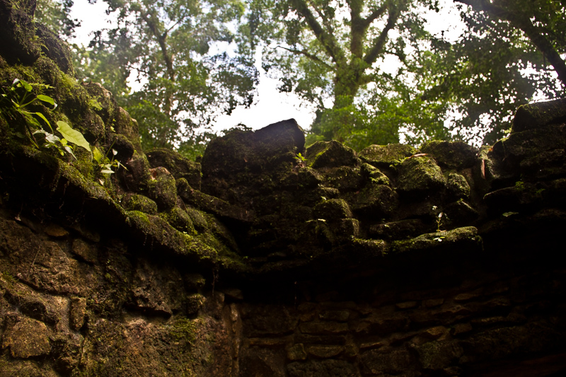 Palenque Messico - 