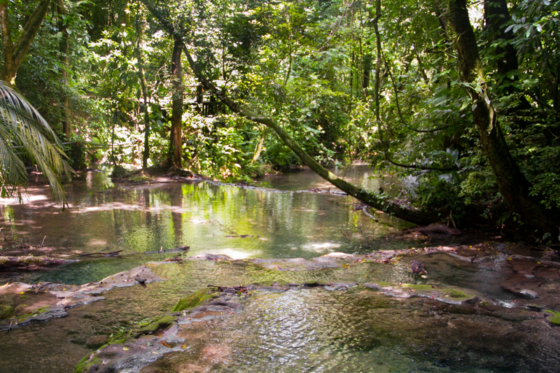 Palenque Messico - 