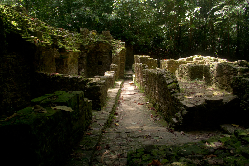 Palenque Messico - 